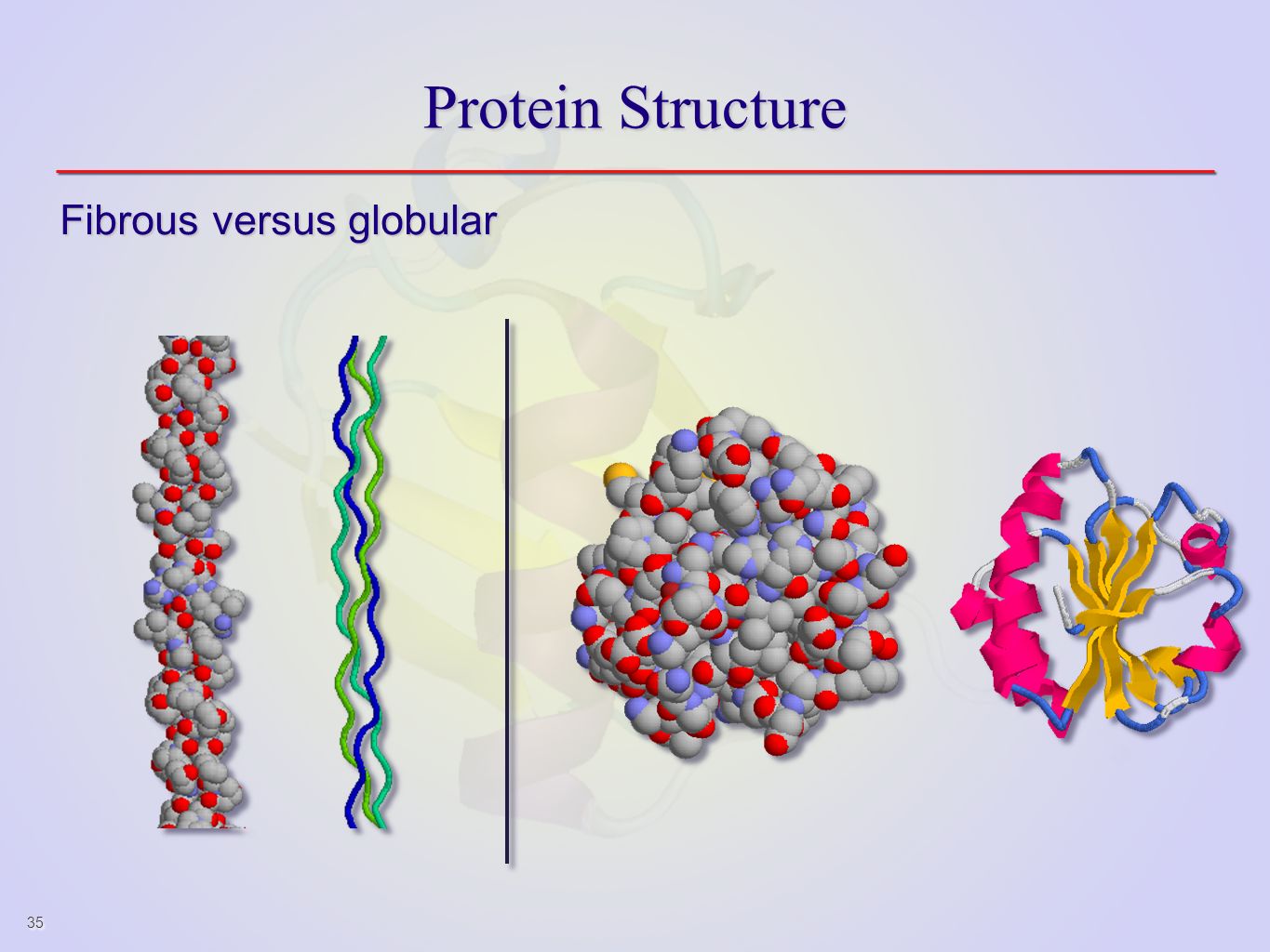 Протеин структура